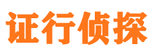 龙马潭外遇调查取证